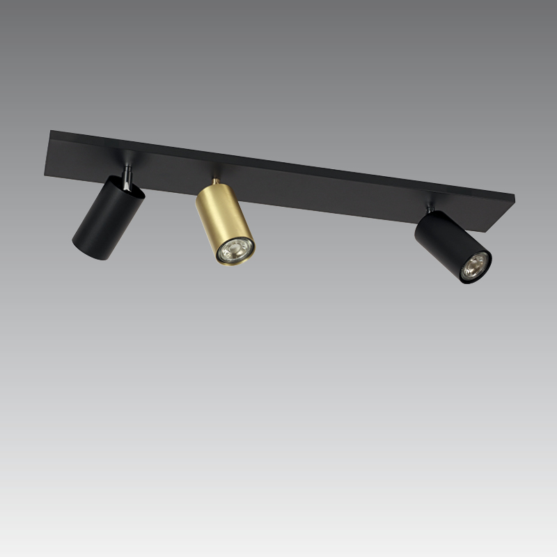DEIMOS L2+1